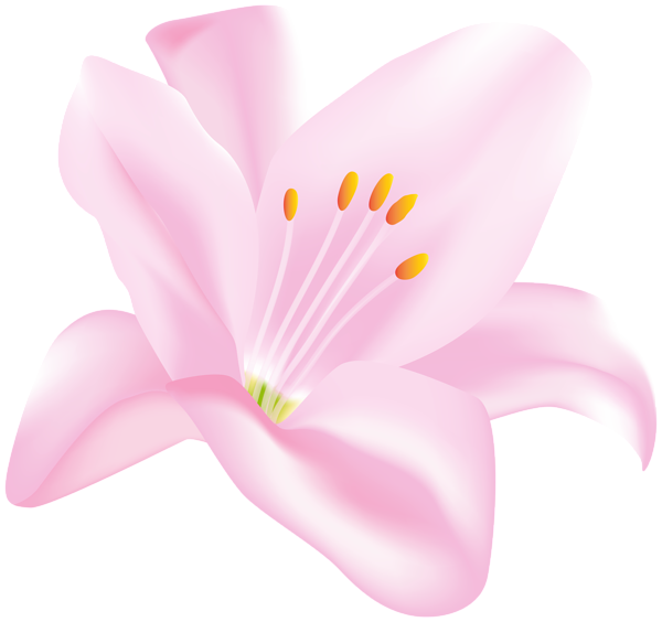This png image - Flower Transparent PNG Clip Art Image, is available for free download