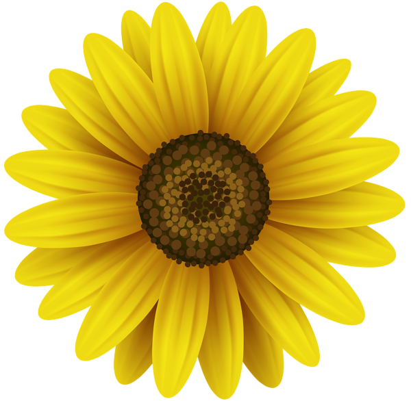 Flower Yellow Clip Art Image | Gallery Yopriceville - High-Quality Free ...