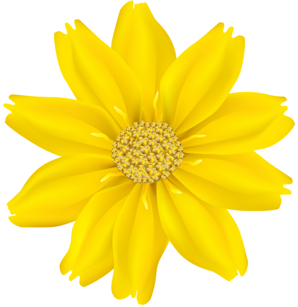 This png image - Flower Yellow PNG Transparent Clip Art Image, is available for free download