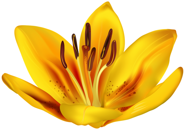 This png image - Flower Yellow PNG Transparent Clipart, is available for free download