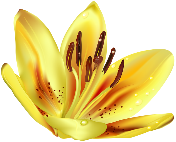 This png image - Flower Yellow Transparent Clip Art Image, is available for free download
