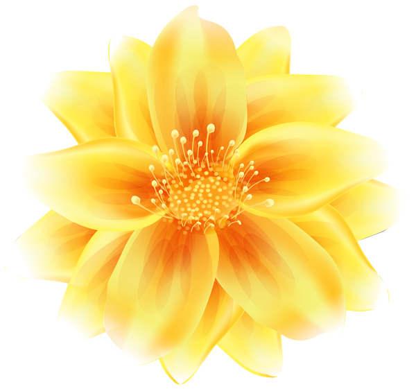 This png image - Flower Yellow Transparent PNG Clip Art Image, is available for free download