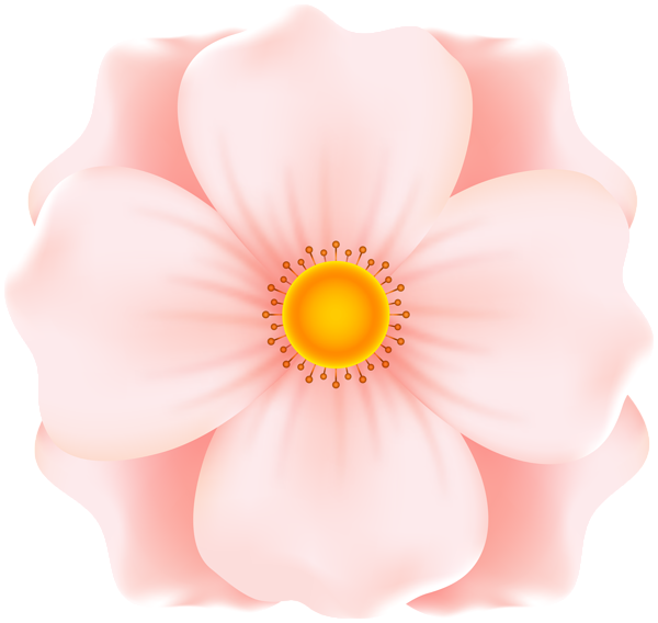 This png image - Flower for Decoration PNG Clipart, is available for free download