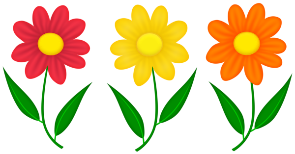 This png image - Flowers PNG Transparent Clipart, is available for free download