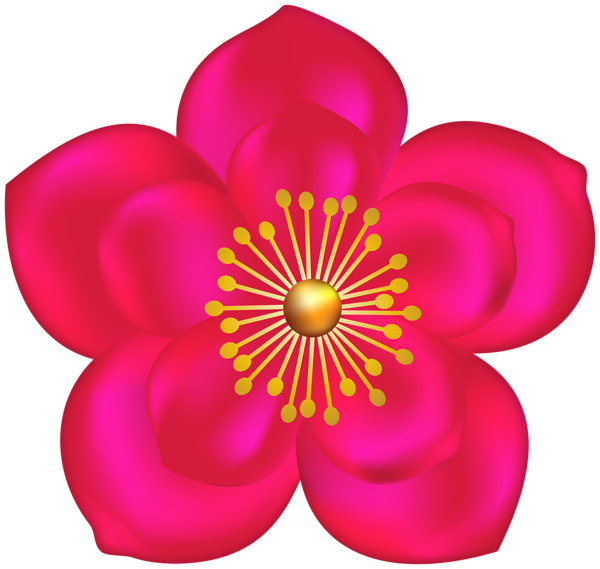 This png image - Fuchsia Flower Transparent Image, is available for free download