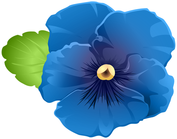 This png image - Garden Violet Flower Blue PNG Clipart, is available for free download