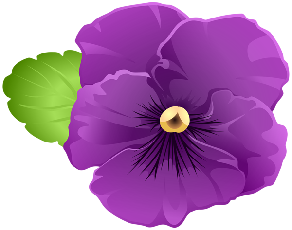 This png image - Garden Violet Flower Purple PNG Clipart, is available for free download