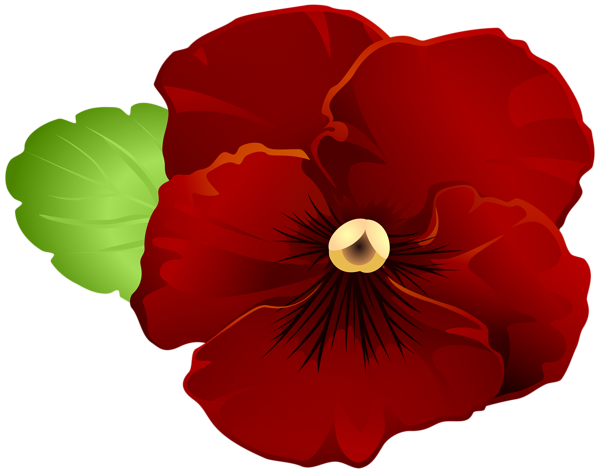 This png image - Garden Violet Flower Red PNG Clipart, is available for free download