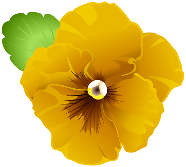 This png image - Garden Violet Flower Yellow PNG Clipart, is available for free download