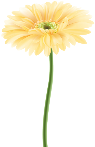 This png image - Gerbera Flower Yellow PNG Clipart, is available for free download