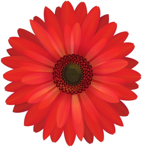 This png image - Gerbera Red Flower PNG Clip Art, is available for free download