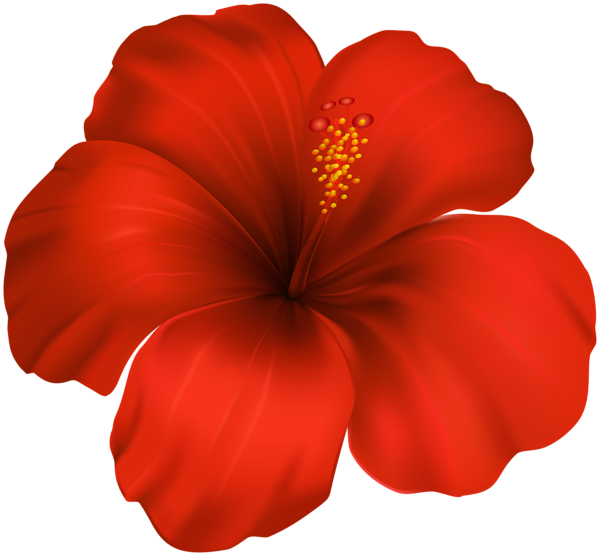 This png image - Hibiscus Flower PNG Clipart, is available for free download