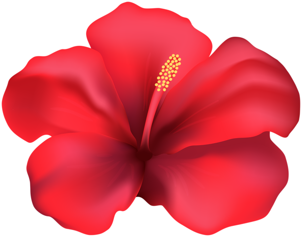 This png image - Hibiscus Red Flower PNG Clipart, is available for free download