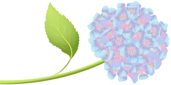 This png image - Hortensia Clip Art PNG Image, is available for free download
