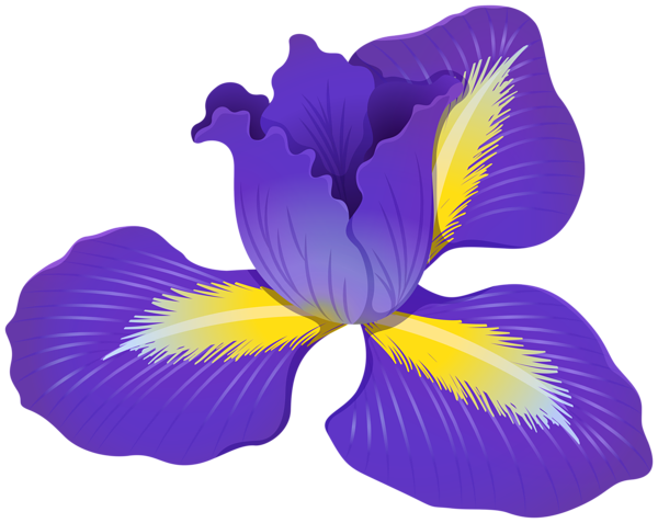 This png image - Iris Flower PNG Clipart, is available for free download
