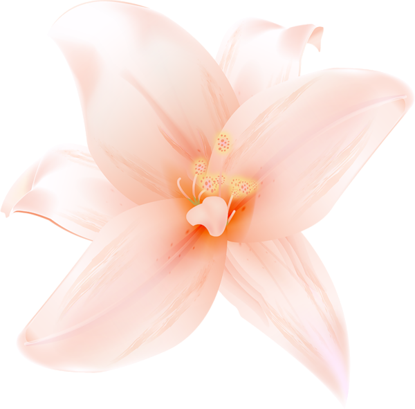 This png image - Large Orange Lilium Clipart, is available for free download