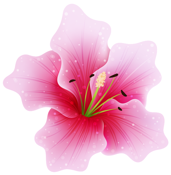 This png image - Large Pink Flower PNG Clipart, is available for free download