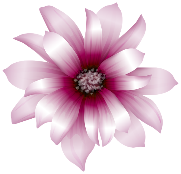 This png image - Large Pink Flower Transparent PNG Clip Art Image, is available for free download