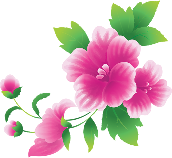 Large Pink Flowers Clipart | Gallery Yopriceville - High-Quality Images