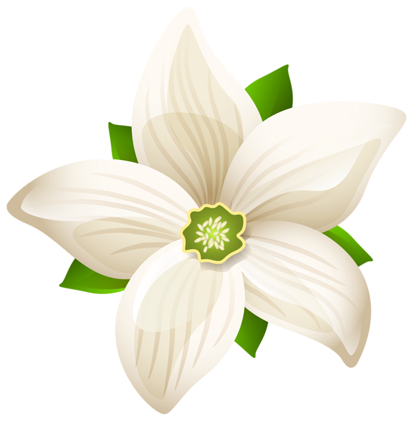 This png image - Large White Flower Transparent PNG Clip Art Image, is available for free download
