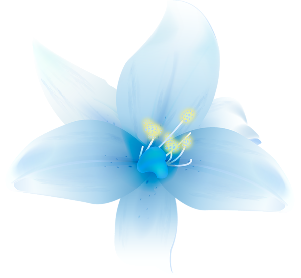 This png image - Large White Lilium Clipart, is available for free download