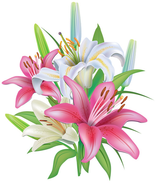 This png image - Lilies Flowers Decoration PNG Clipart Image, is available for free download