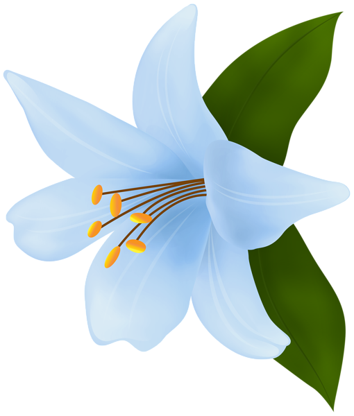 This png image - Lilium Blue PNG Clipart, is available for free download