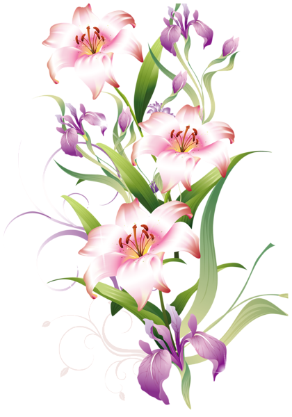 Lilium Decoration PNG Clipart Picture | Gallery Yopriceville - High ...
