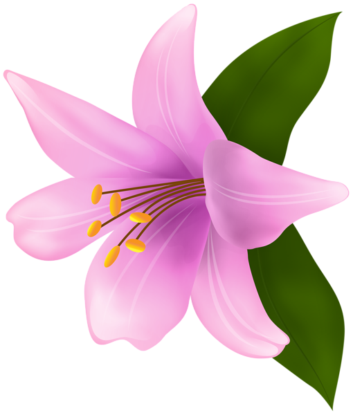 This png image - Lilium Pink PNG Clipart, is available for free download