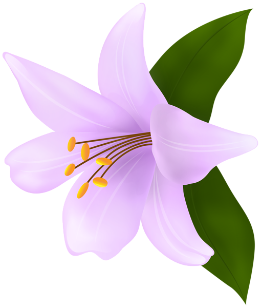 This png image - Lilium Purple PNG Clipart, is available for free download