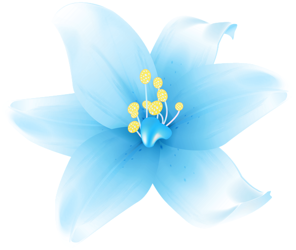 This png image - Lily Flower Blue PNG Transparent Clipart, is available for free download