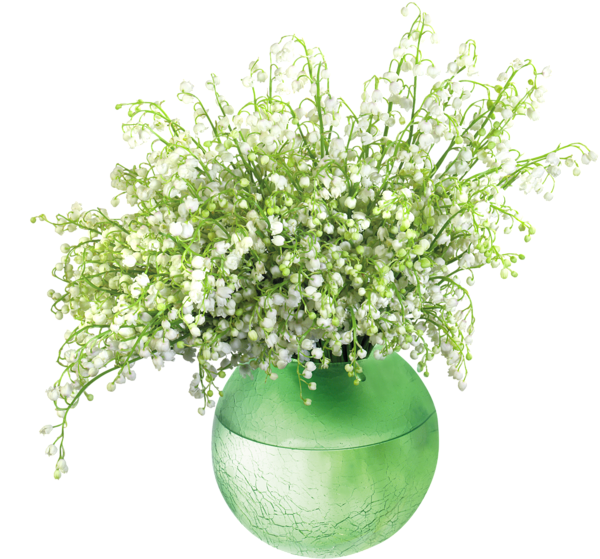 This png image - Lily of the Valleyin Vase PNG Clip Art Image, is available for free download