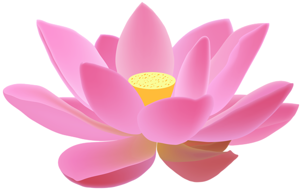 Lotus Free PNG Clip Art Image | Gallery Yopriceville - High-Quality