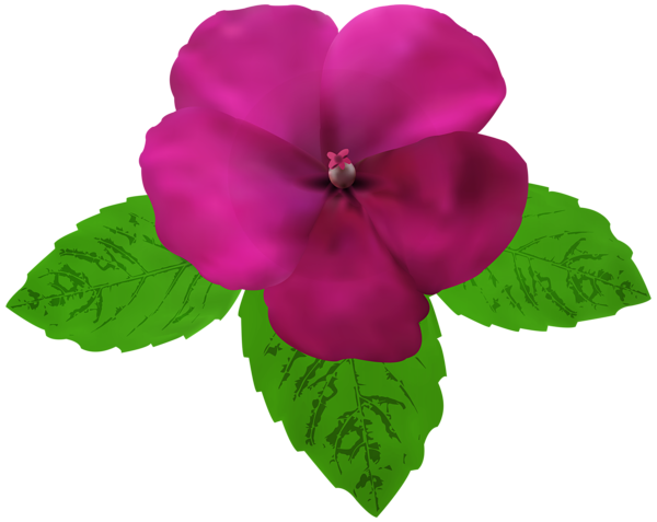 This png image - Magenta Flower PNG Clip Art, is available for free download