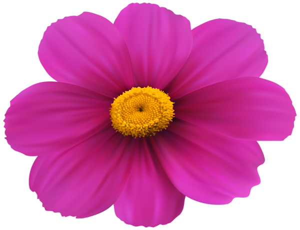 This png image - Magenta Flower Transparent Clip Art Image, is available for free download
