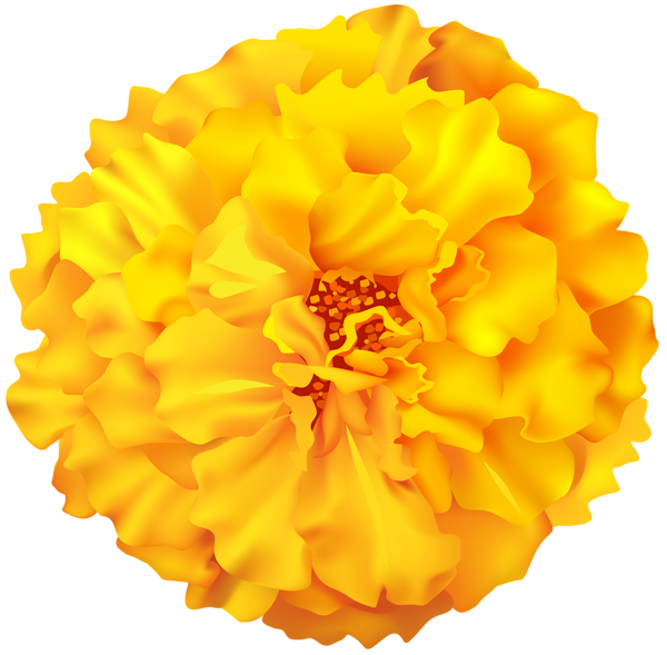 This png image - Marigold Flower PNG Clip Art Image, is available for free download