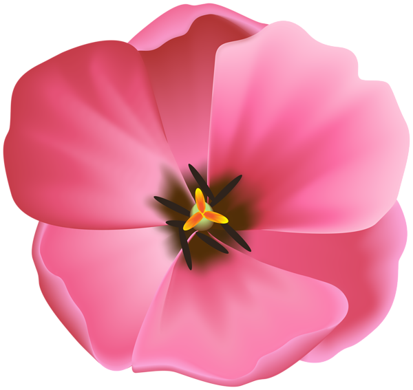 This png image - Open Pink Tulip Clipart Image, is available for free download