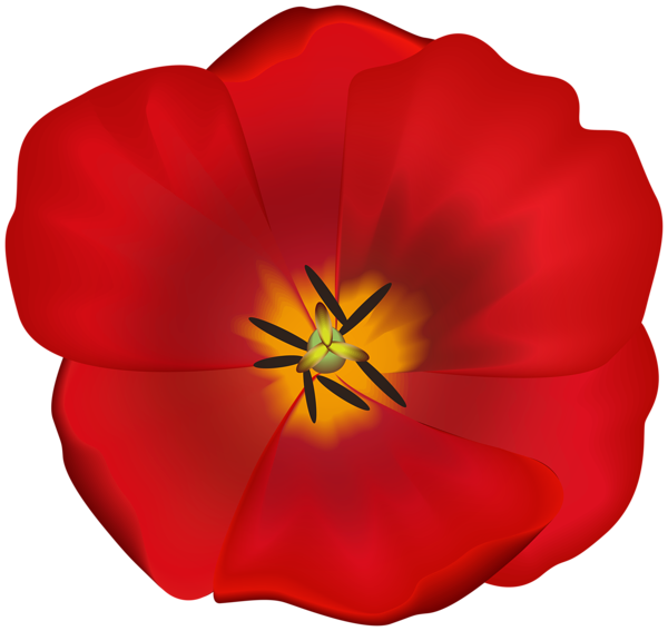 This png image - Open Tulip Clipart Image, is available for free download