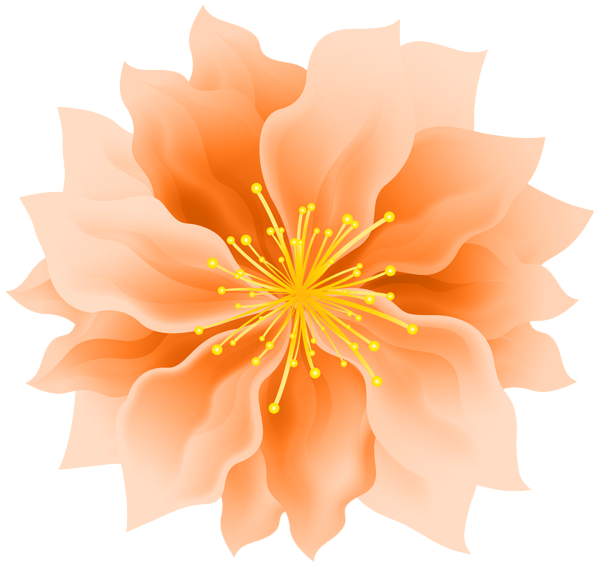 This png image - Orange Cute Flower PNG Transparent Clipart, is available for free download