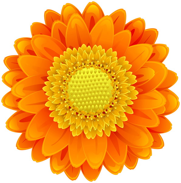 This png image - Orange Flower Clip Art PNG Image, is available for free download