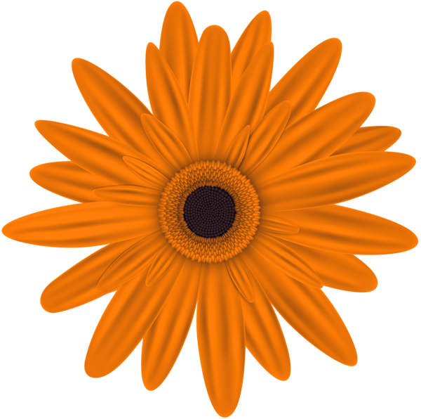 This png image - Orange Flower Clip Art PNG Image, is available for free download