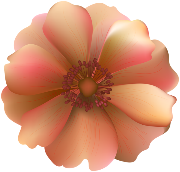 This png image - Orange Flower Decorative Transparent Clip Art, is available for free download