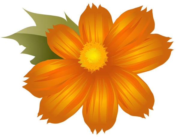 This png image - Orange Flower PNG Clip-Art Image, is available for free download