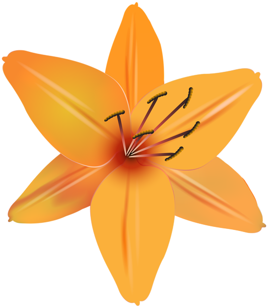 Orange Flower PNG Clip Art Image | Gallery Yopriceville - High-Quality ...