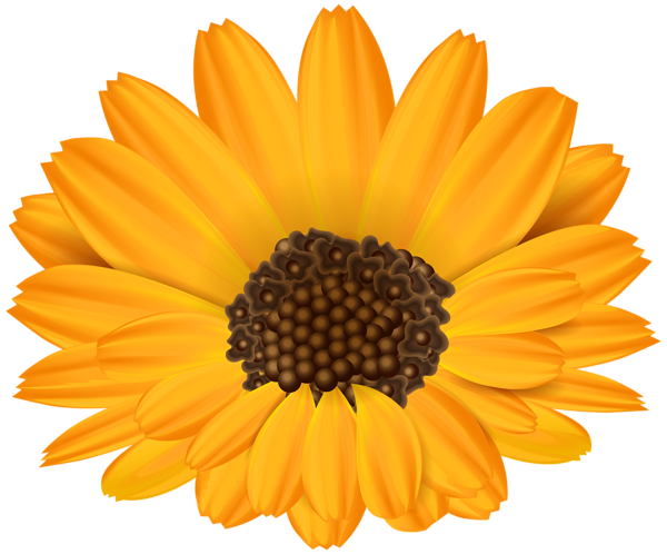 Orange Flower PNG Clip Art Image | Gallery Yopriceville - High-Quality
