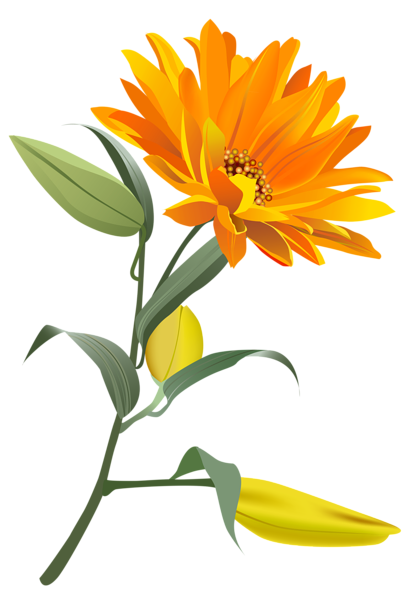 This png image - Orange Flower PNG Clip Art Image, is available for free download