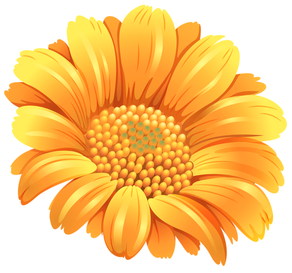 This png image - Orange Flower PNG Clipart Image, is available for free download