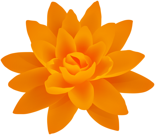 This png image - Orange Flower PNG Deco Image, is available for free download
