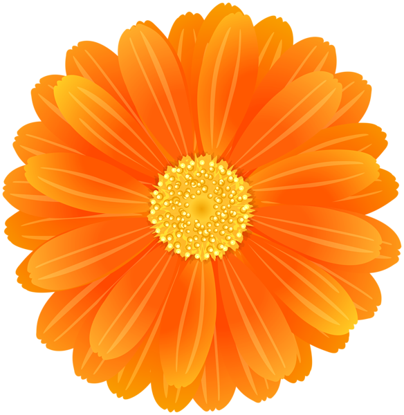 This png image - Orange Flower PNG Image, is available for free download