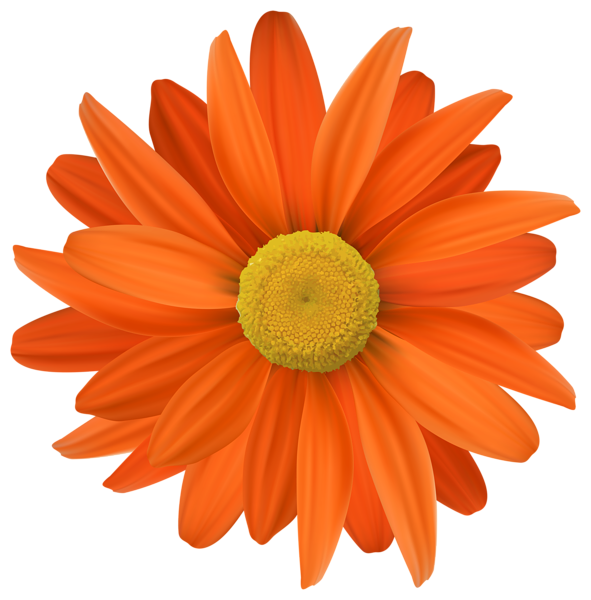 This png image - Orange Flower Transparent PNG Clip Art, is available for free download